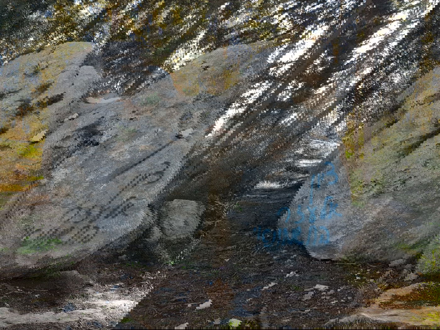 עצב ב'קבר מתתיהו': הגישה לציון - נחסמה