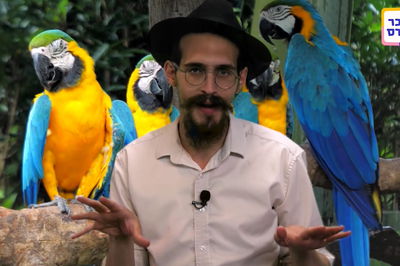 תכנית ציור חווייתית לילדים באתר כיכר קידס