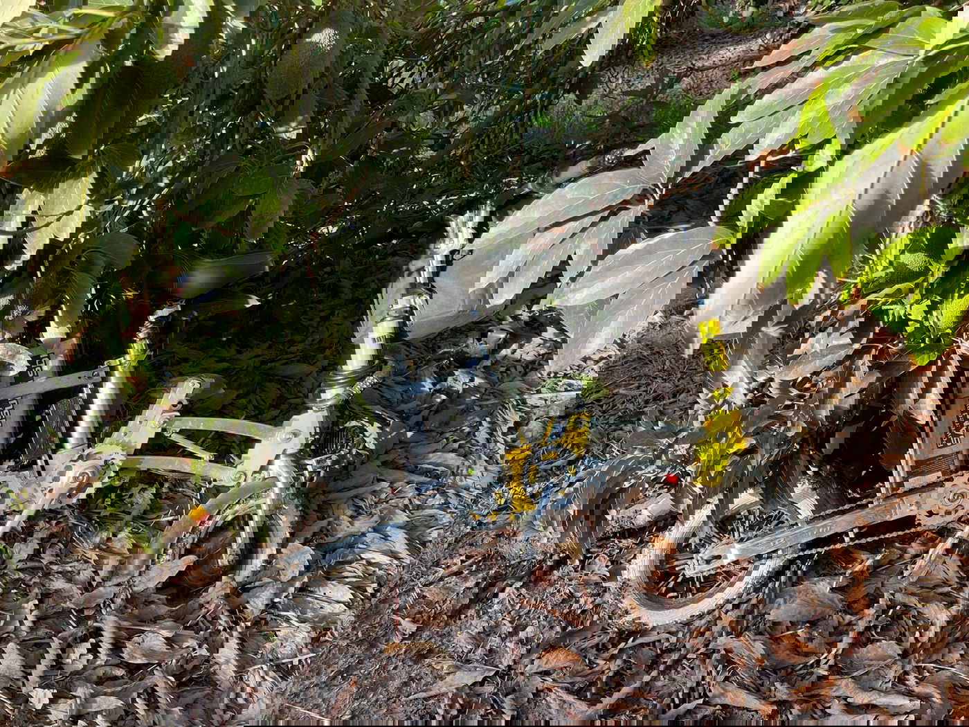 אחד מזוגות האופניים שנמצאו