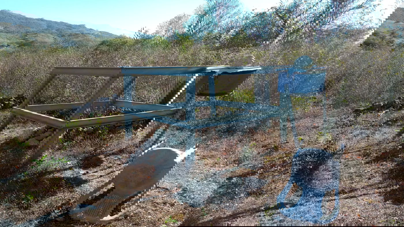 הקבר של הלברנץ, מנהיג הכת