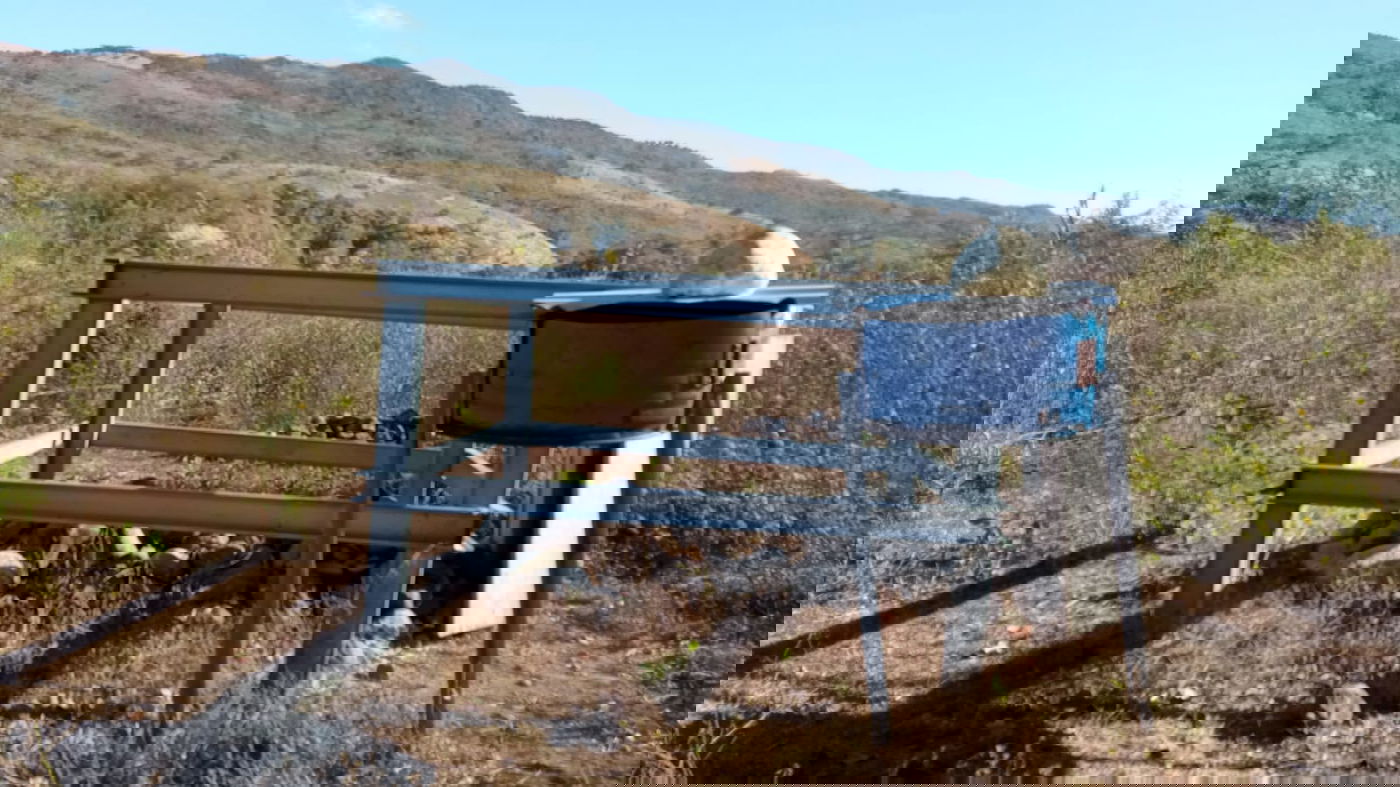 הקבר של הלברנץ, מנהיג הכת