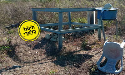 הקבר של שלמה הלברנץ