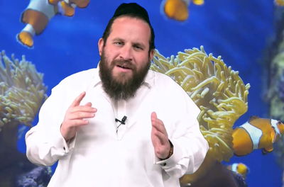 עלילות וסיפורי פרשת השבוע לילדים • צפו בתכנית