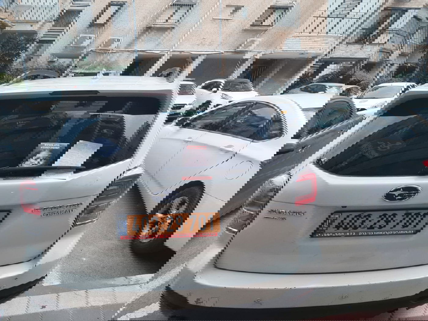 זופניק בכיכר • כל התמונות והנייעס של השבוע