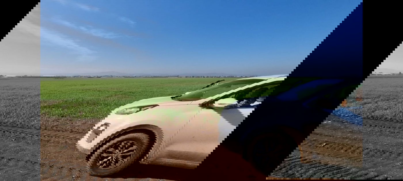 וציוויתי את ברכתי: נס השמיטה של אדירים