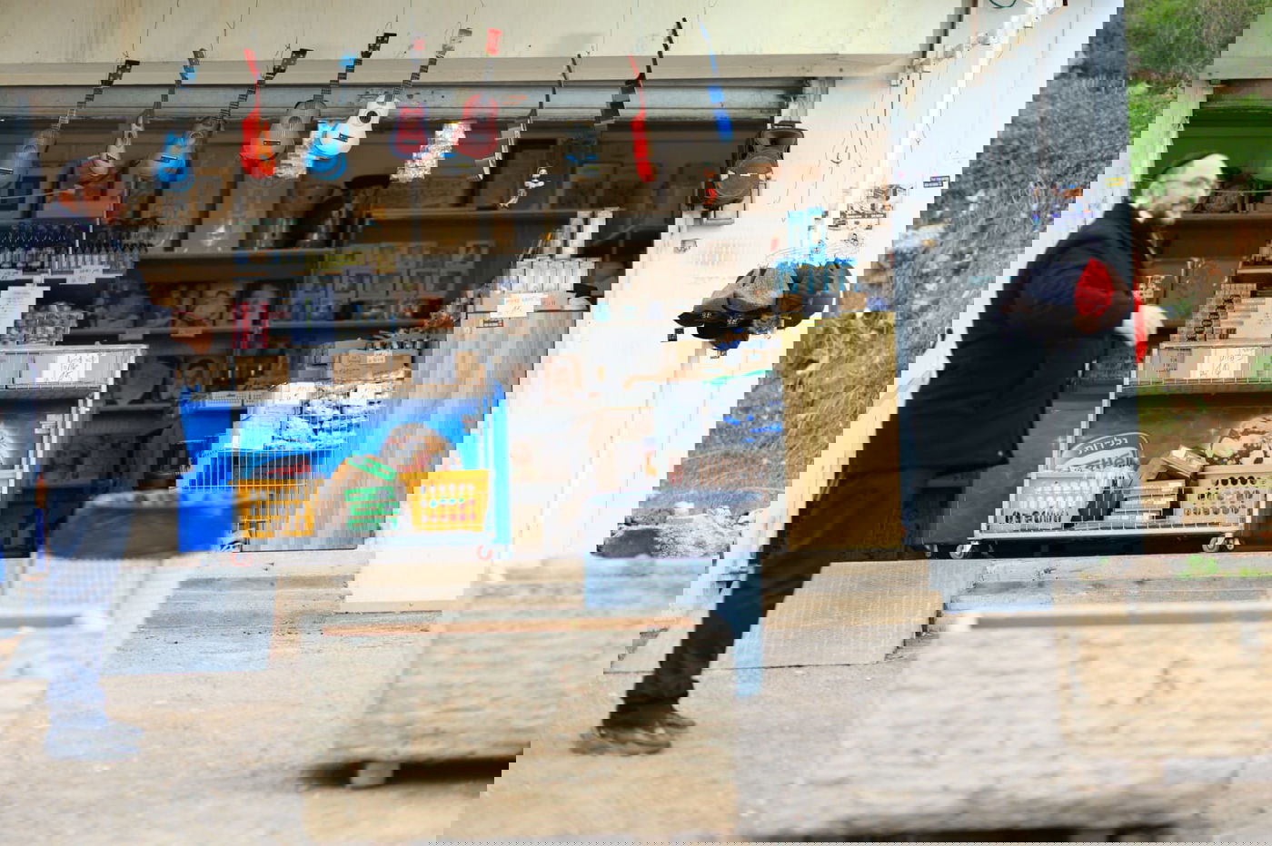 ערב ט"ו בשבט בקבר רבי מאיר בעל הנס • תיעוד