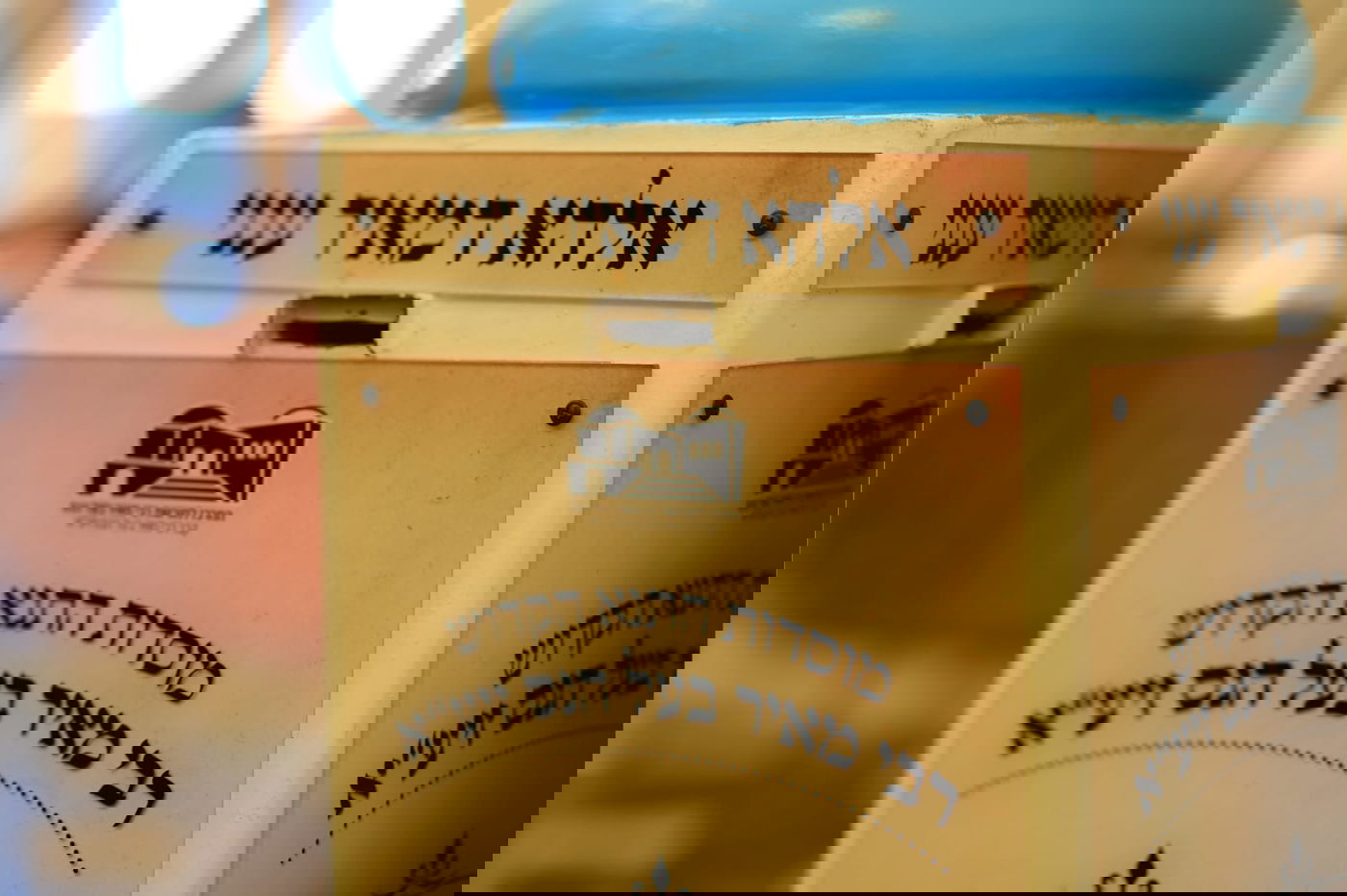 ערב ט"ו בשבט בקבר רבי מאיר בעל הנס • תיעוד