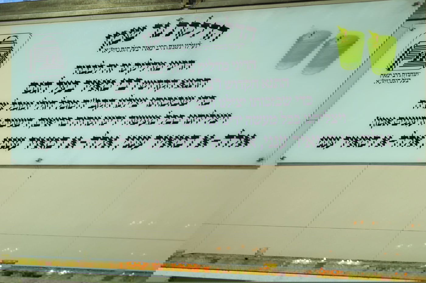 ערב ט"ו בשבט בקבר רבי מאיר בעל הנס • תיעוד