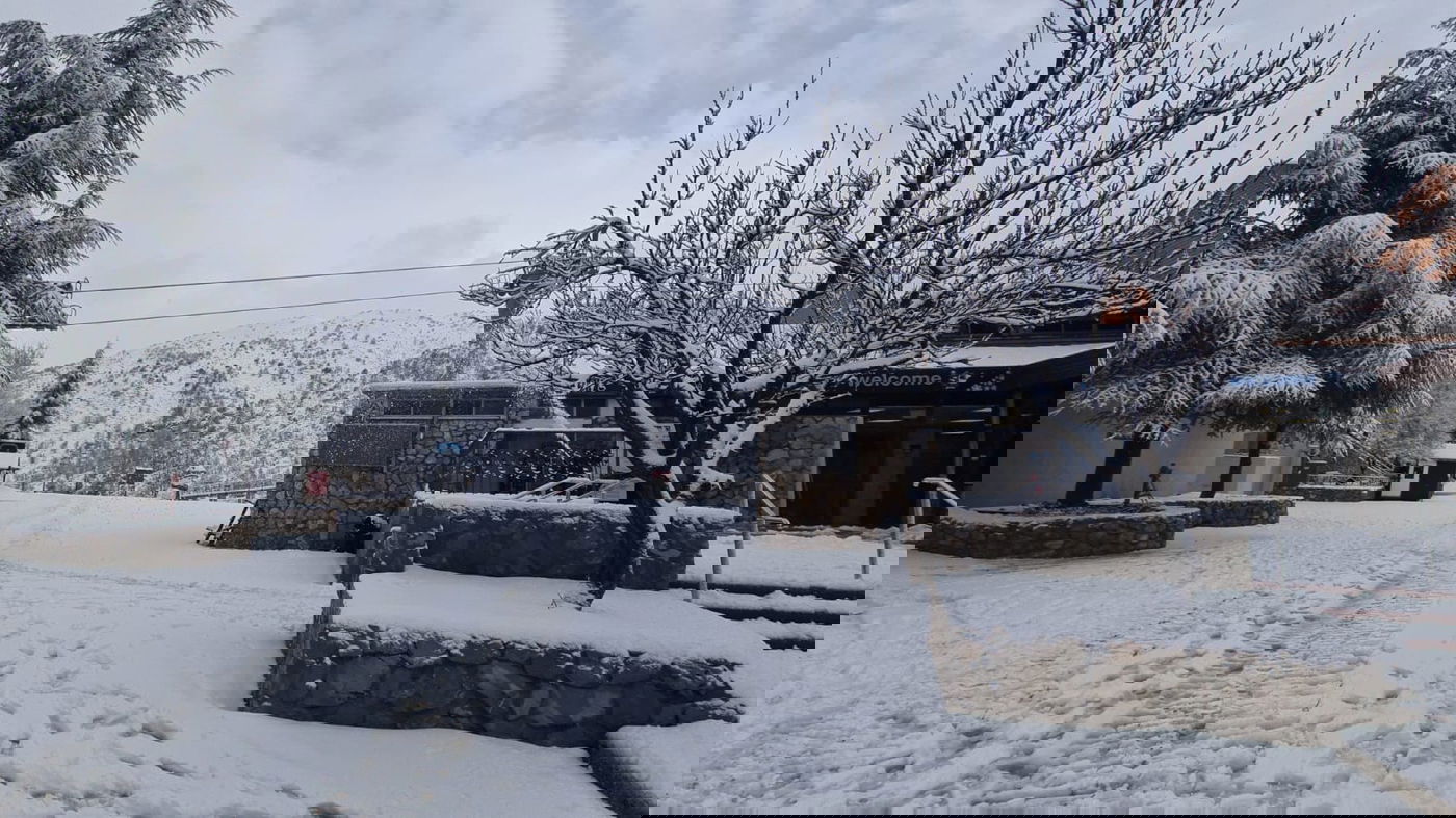 הבוקר בחרמון: השלג יורד לסירוגין • תיעוד