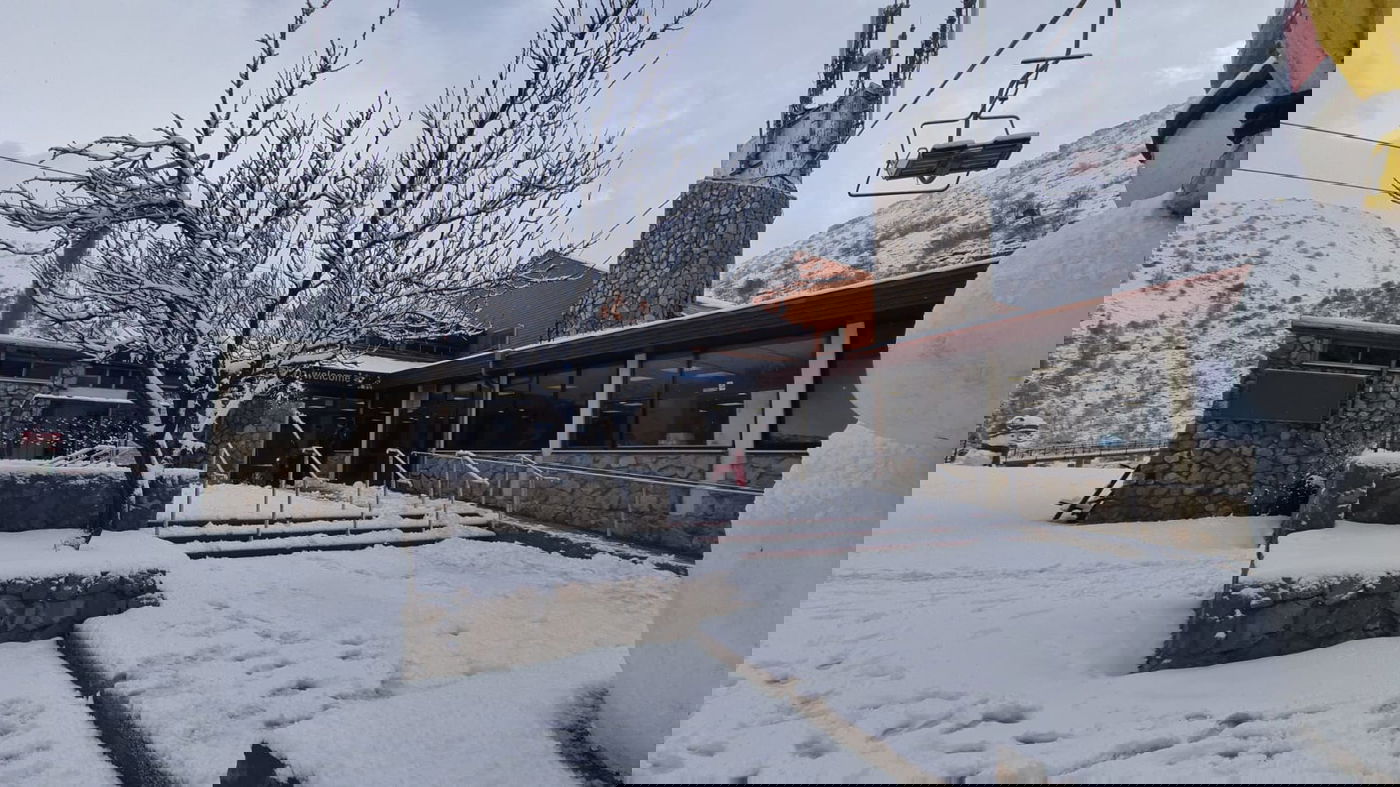 הבוקר בחרמון: השלג יורד לסירוגין • תיעוד