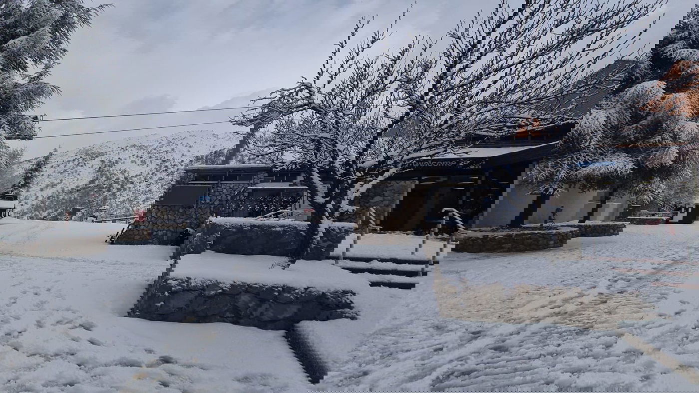 הבוקר בחרמון: השלג יורד לסירוגין • תיעוד