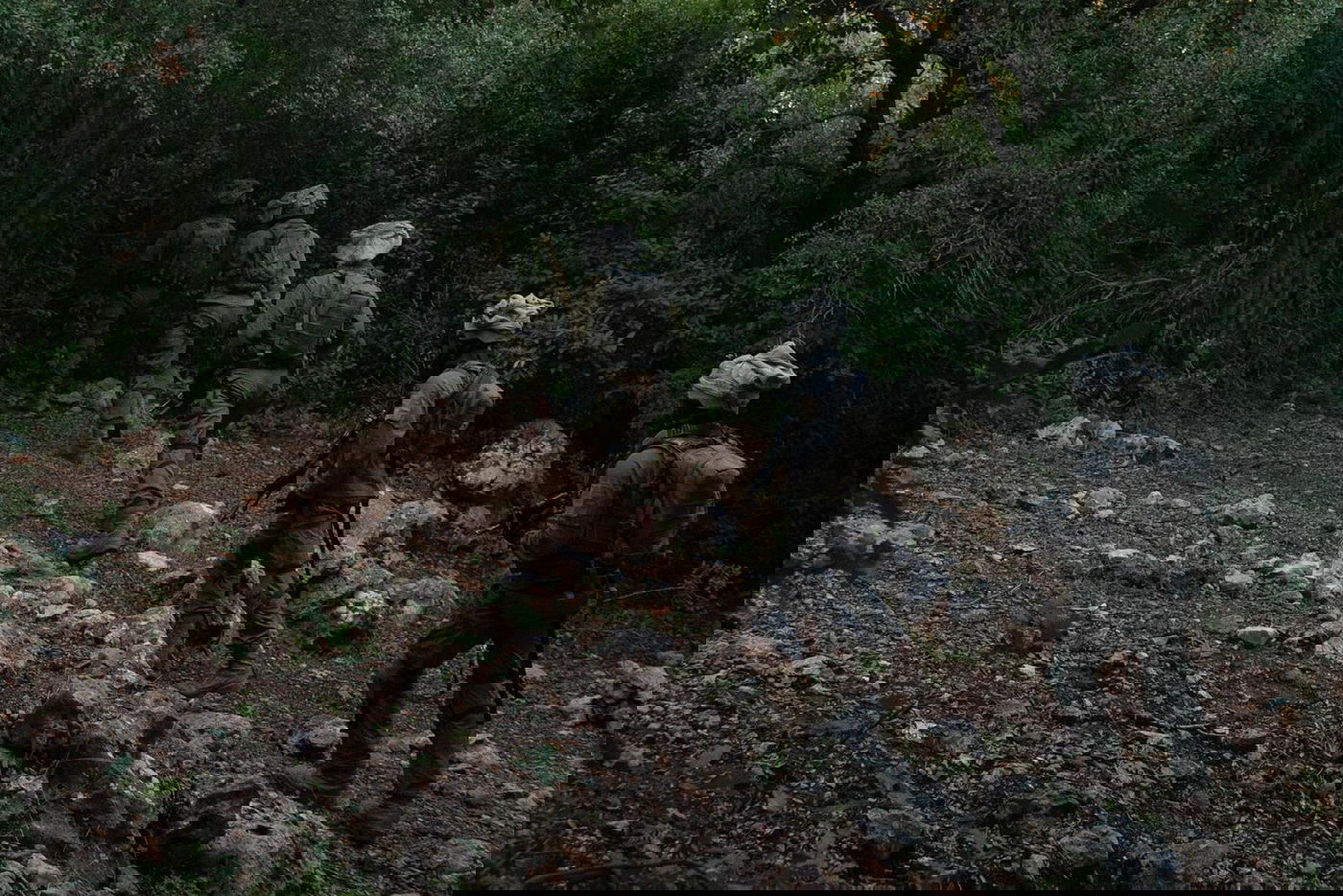 אחרי האסון: יחידת אגוז שבה להתאמן • צפו