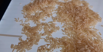 מה גילה מומחה הכשרות באורז בקולומביה? • צפו