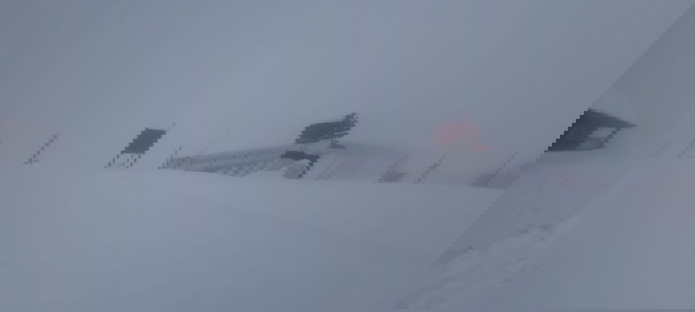 השלג בשמורת 'אביטל-בנטל' ובחרמון • צפו בתיעוד