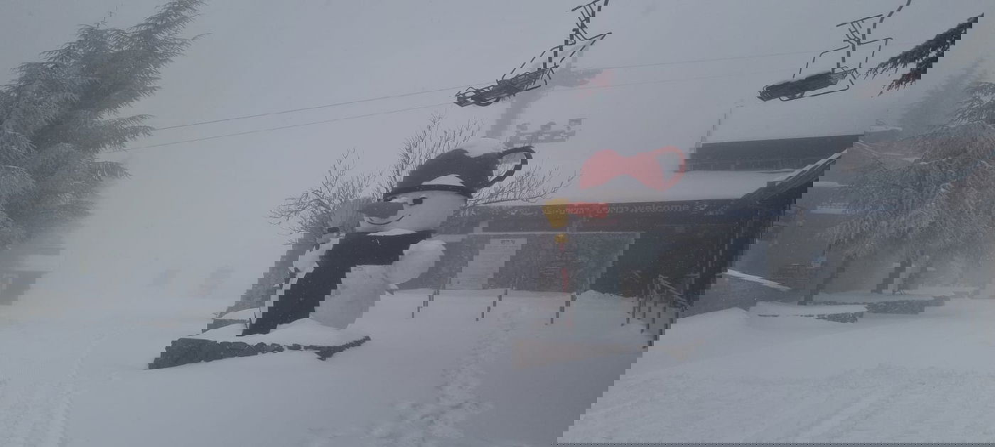 השלג בשמורת 'אביטל-בנטל' ובחרמון • צפו בתיעוד