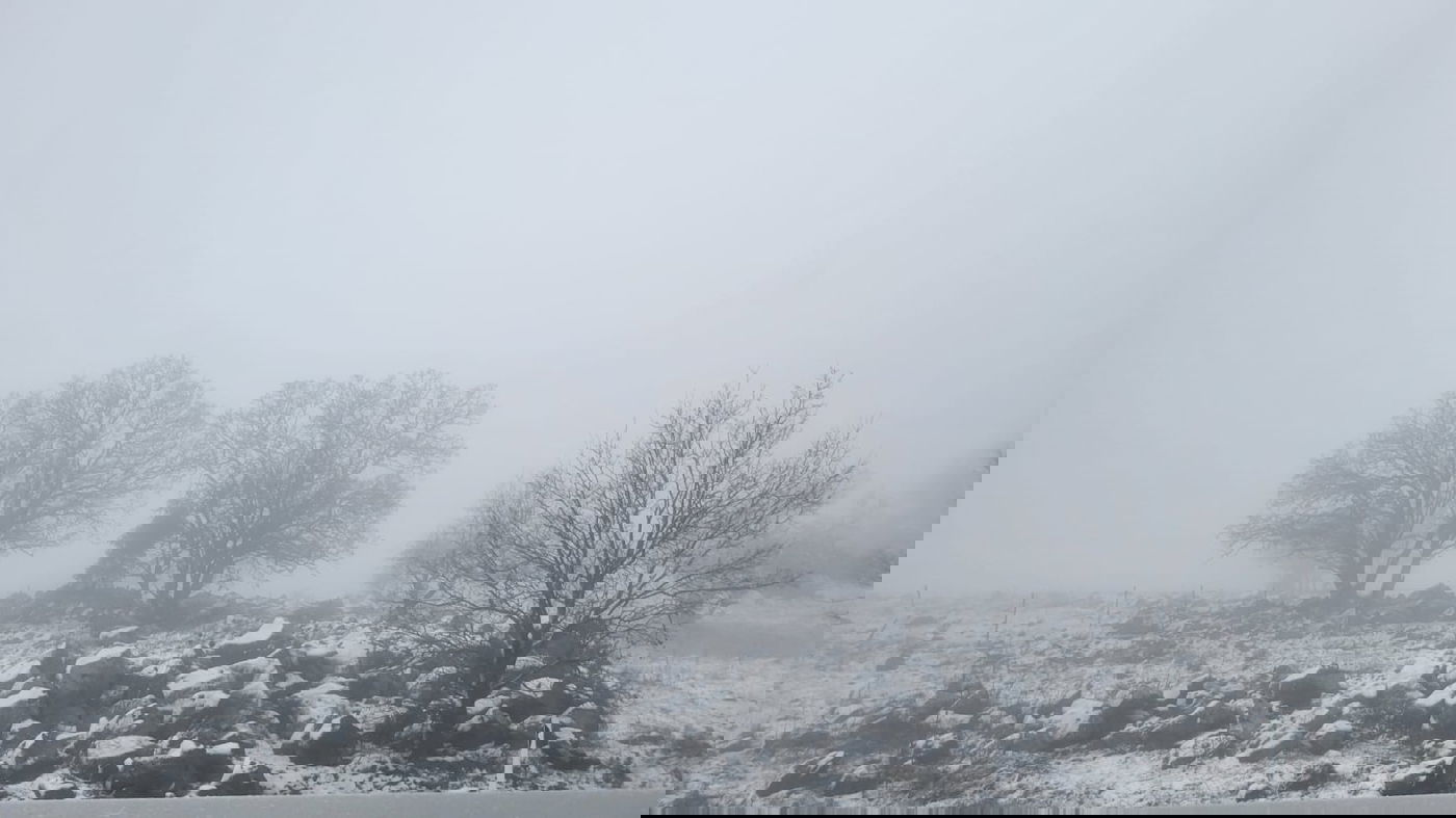 שלג ראשון בצפון הגולן; ייתכן שלג קל בהרי הגליל והמרכז