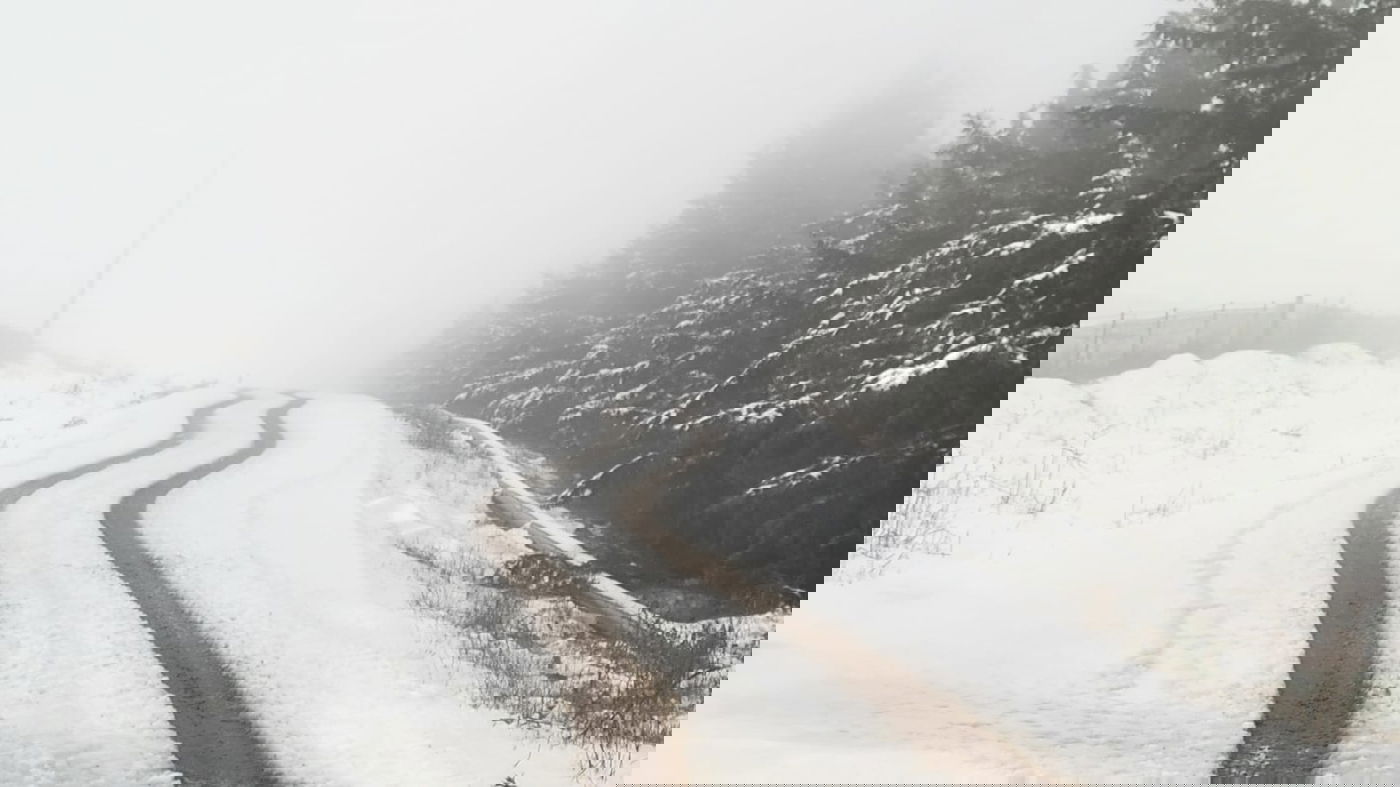 שלג ראשון בצפון הגולן; ייתכן שלג קל בהרי הגליל והמרכז