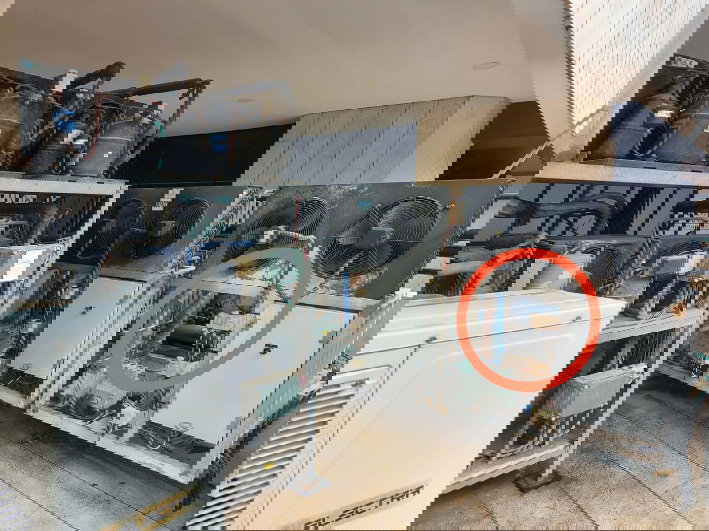 הרוח החמה הנושבת כאן הינה מקום מושלם להומלס (בעיגול: שמיכה של העירייה)