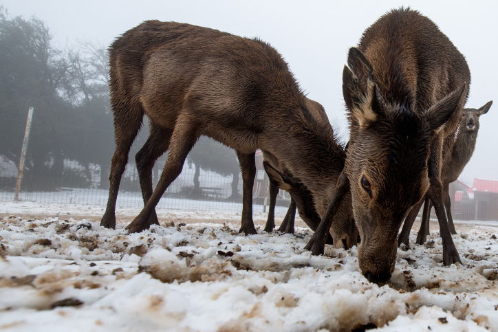התחזית: קר מאוד ובהיר; בשבת - התחממות