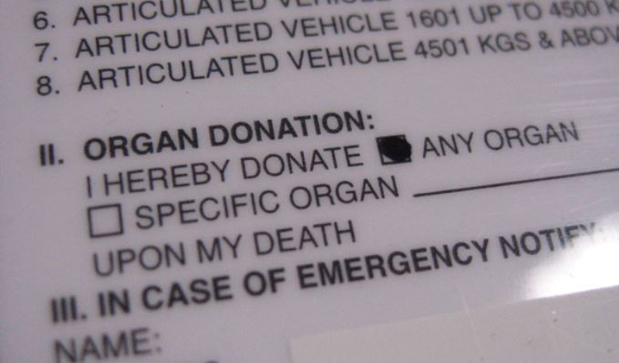 סעיף תרומת איברים, על רישיון נהיגה אמריקני