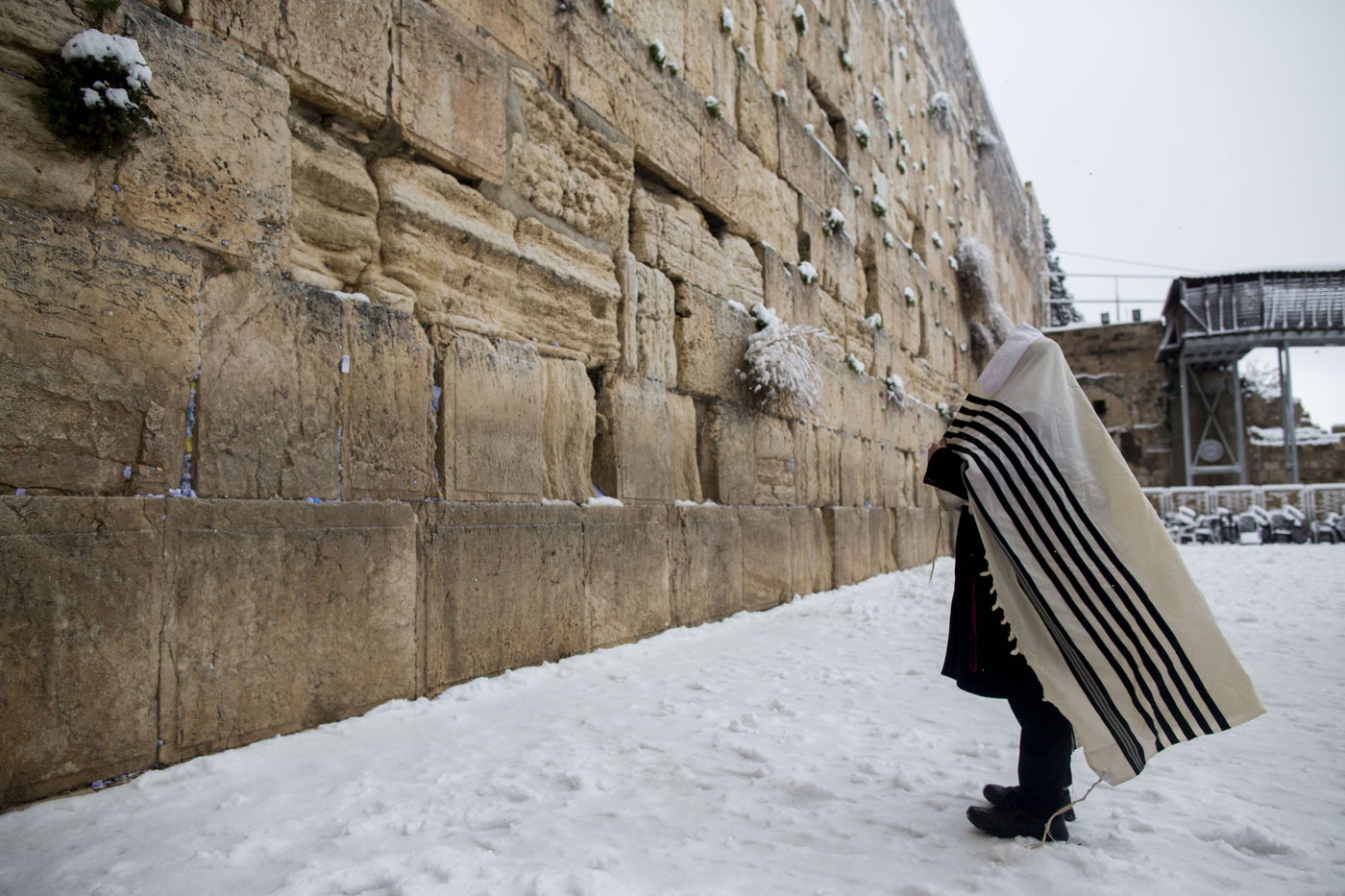 יהודי מתפלל בכותל המושלג. ארכיון
