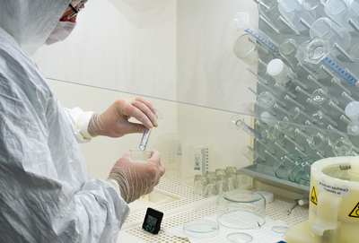 לא מחוסנים עשויים ליצור מוטציה; מיתון בתחלואת העולם