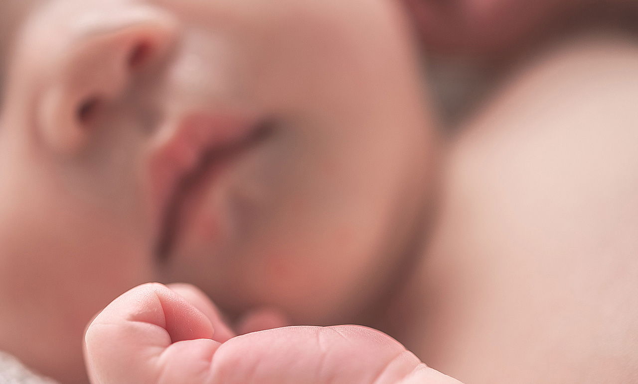 אילוסטרציה