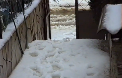 תזכורת היסטורית: כשירד "שלג" בבני ברק; צפו