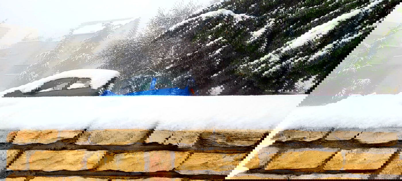 גוונים של לבן