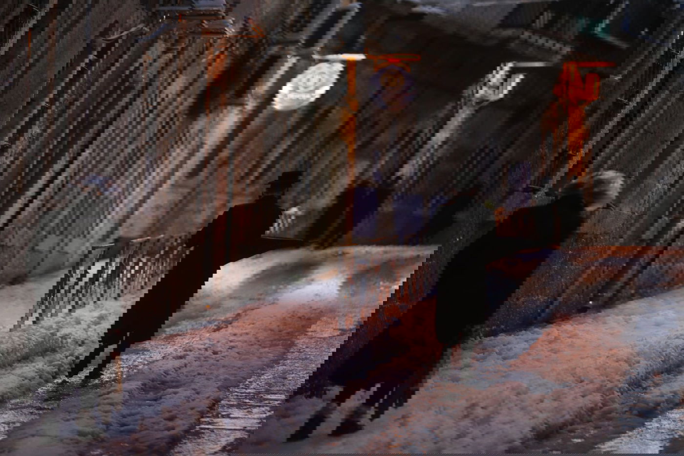 חגיגה ירושלמית • עיר הבירה נצבעה בלבן; הלימודים בוטלו