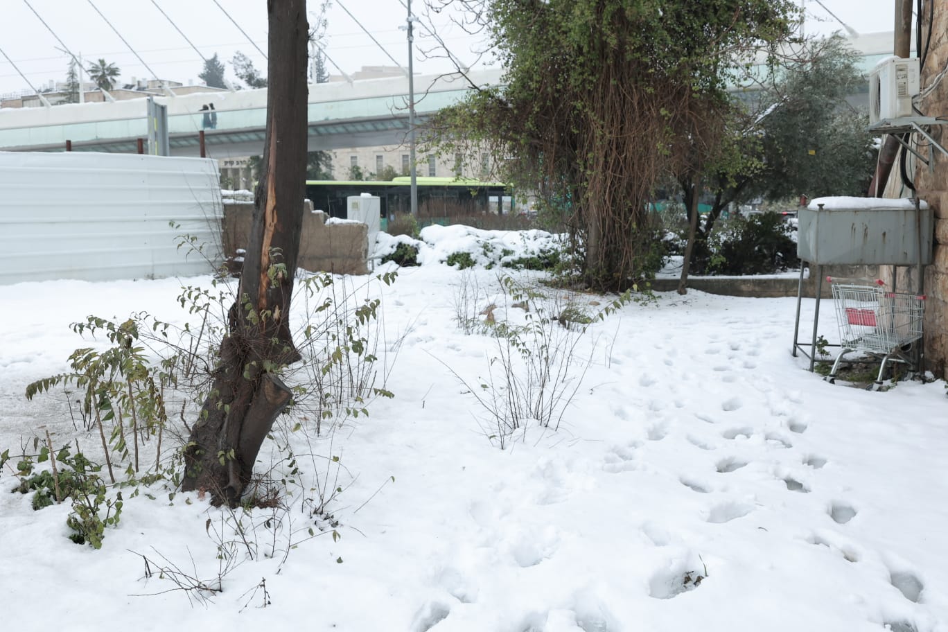 השלג הירושלמי והחגיגה ברחובות; גלריה