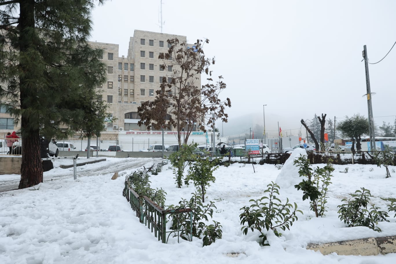 השלג הירושלמי והחגיגה ברחובות; גלריה