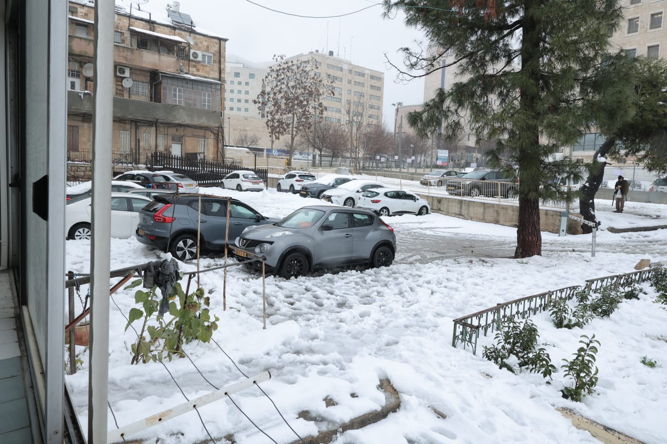 השלג הירושלמי והחגיגה ברחובות; גלריה