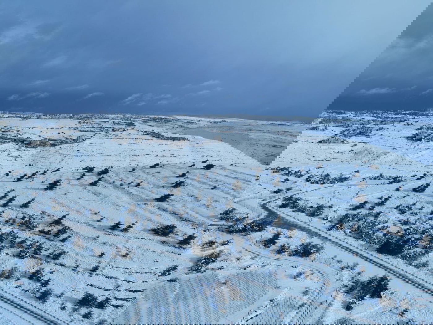 המוני ישראלים קמו לבוקר לבן • עדכונים ממוקדי השלג