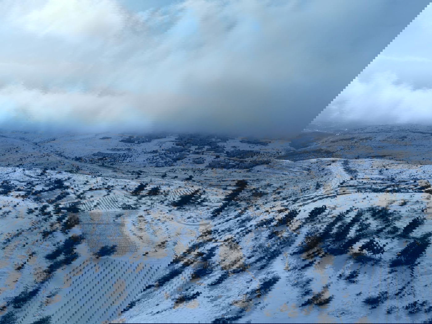 המוני ישראלים קמו לבוקר לבן • עדכונים ממוקדי השלג