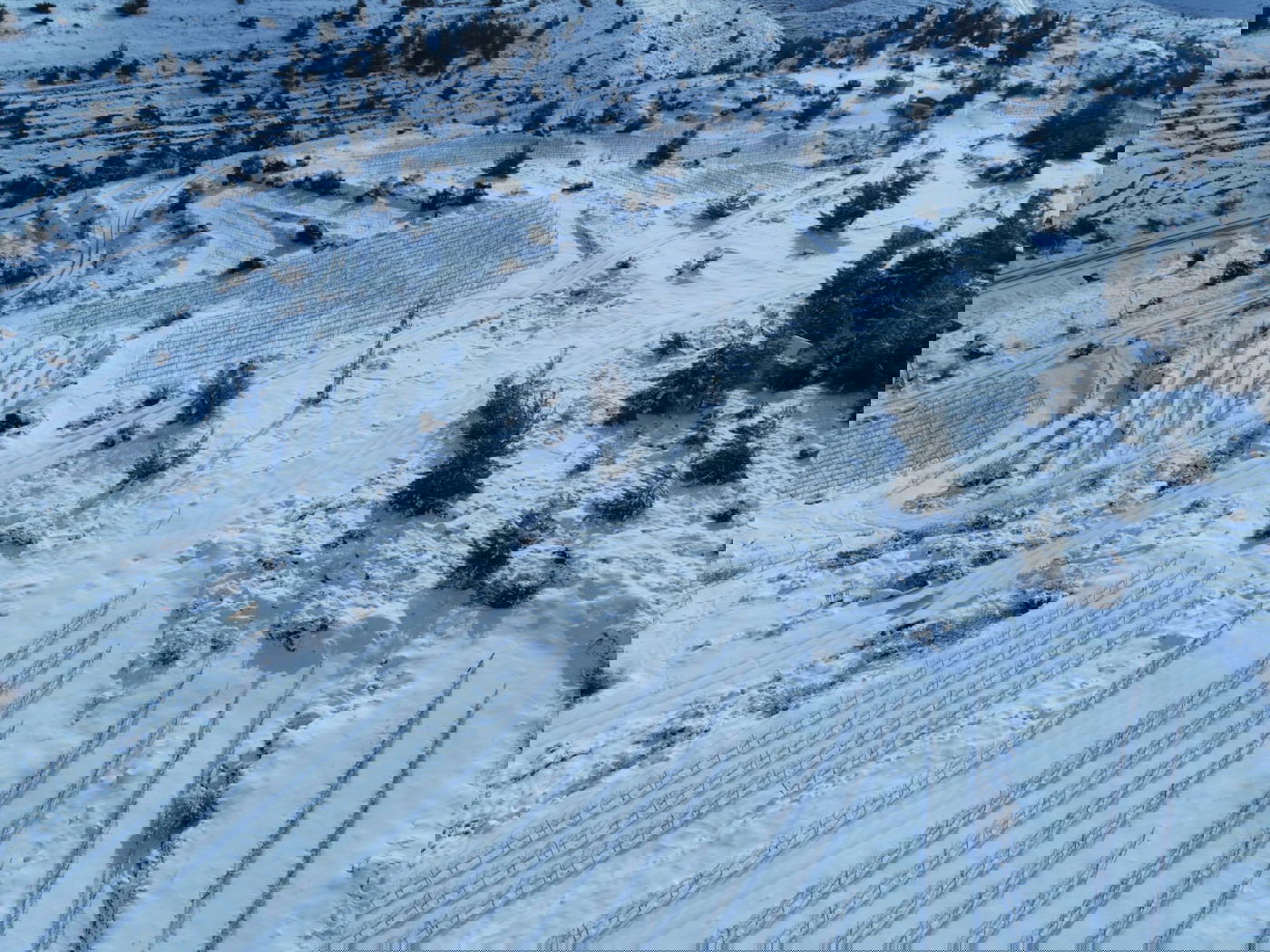 המוני ישראלים קמו לבוקר לבן • עדכונים ממוקדי השלג