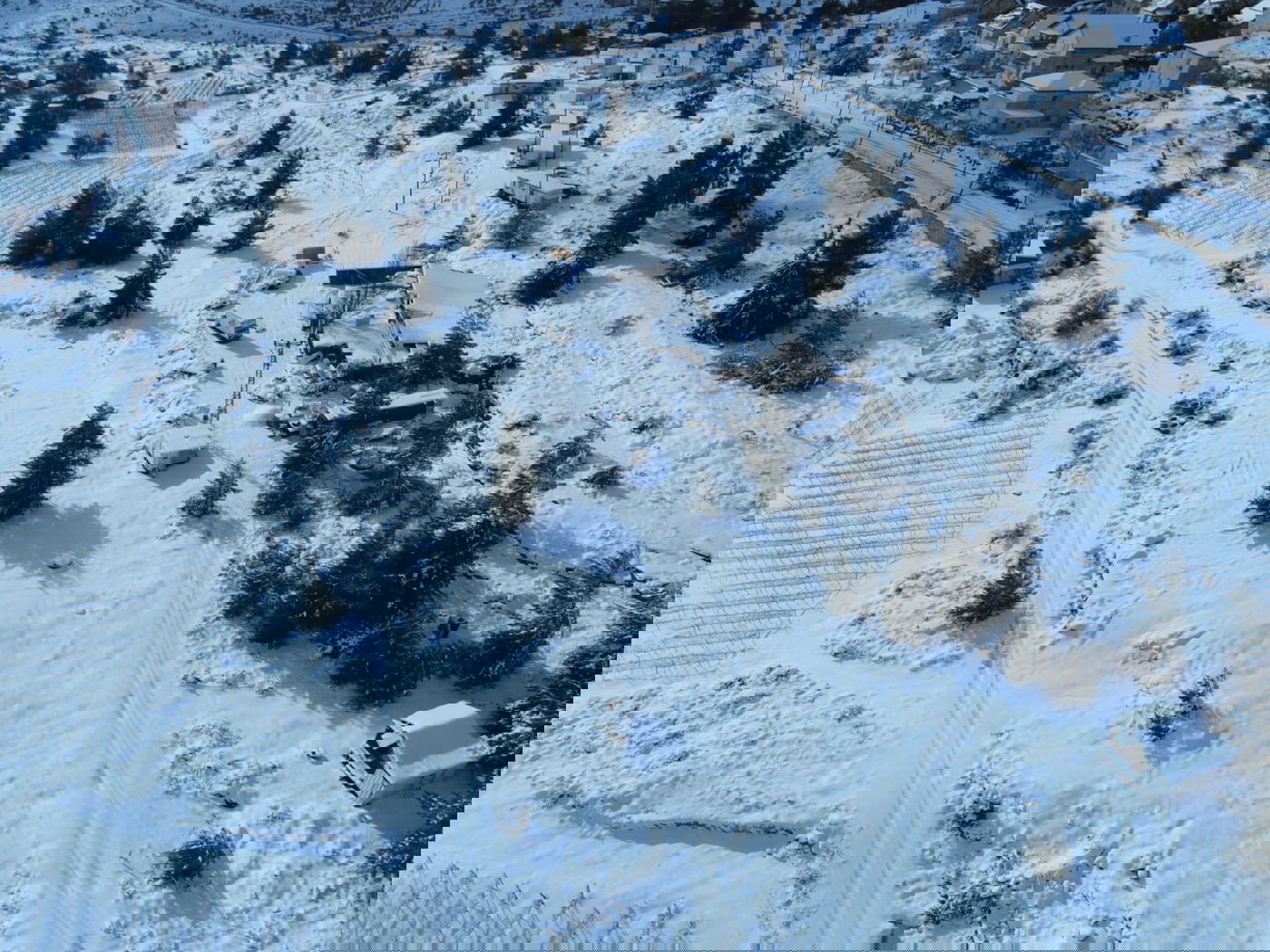 המוני ישראלים קמו לבוקר לבן • עדכונים ממוקדי השלג