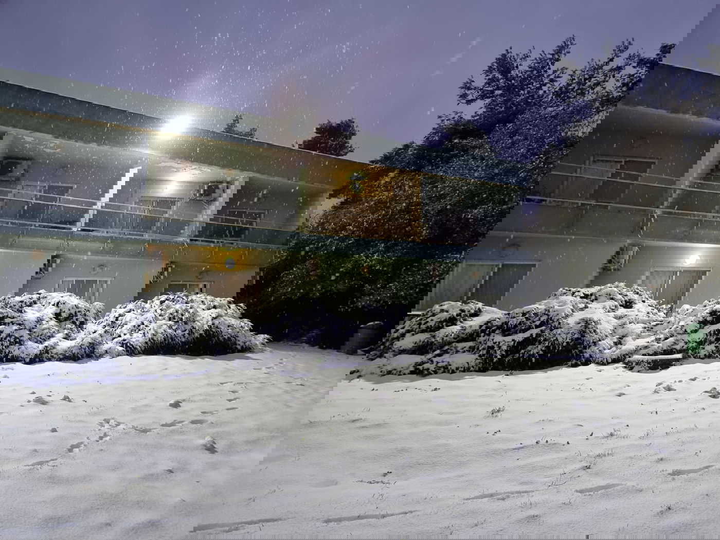 המוני ישראלים קמו לבוקר לבן • עדכונים ממוקדי השלג