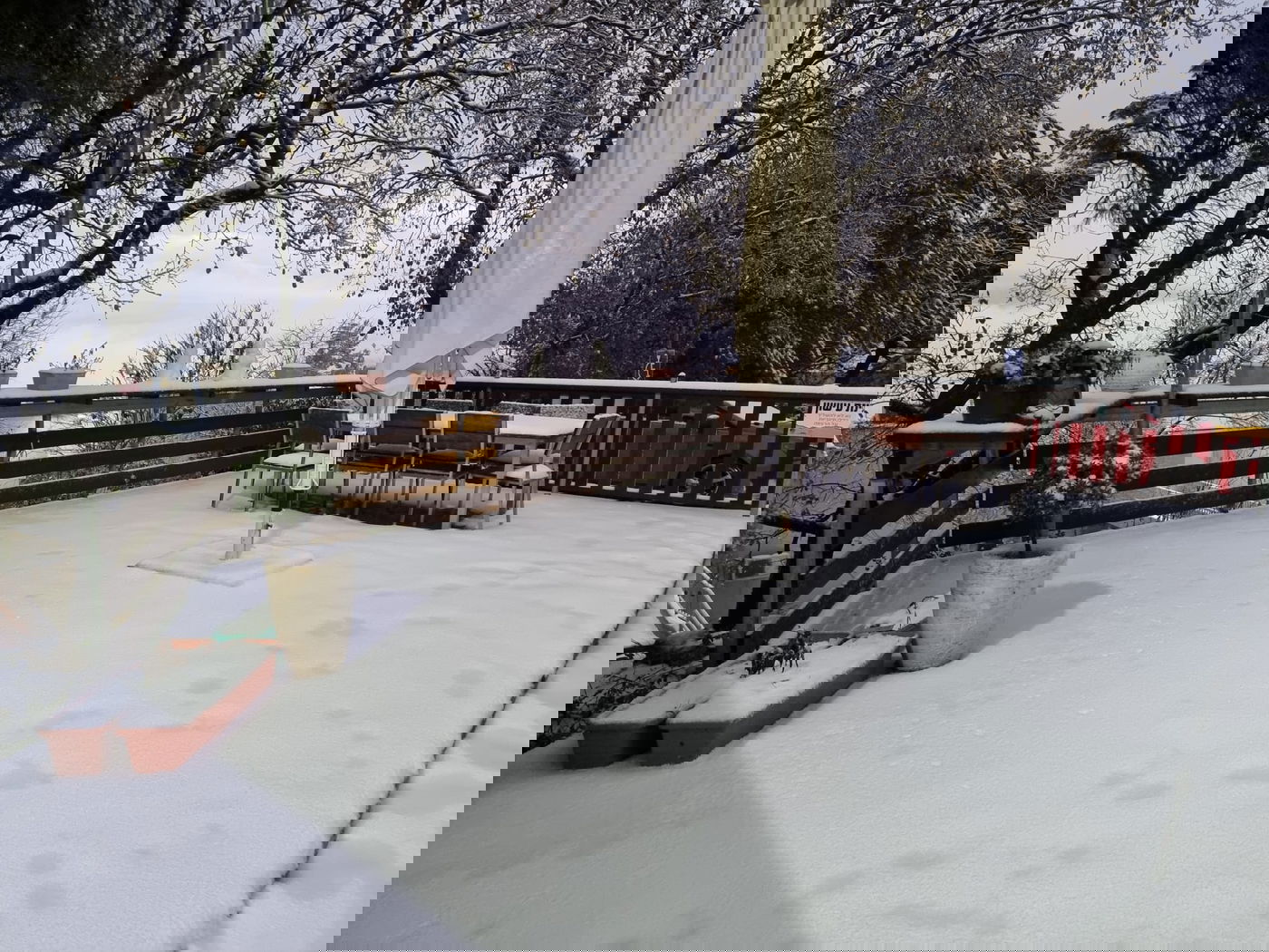 המוני ישראלים קמו לבוקר לבן • עדכונים ממוקדי השלג