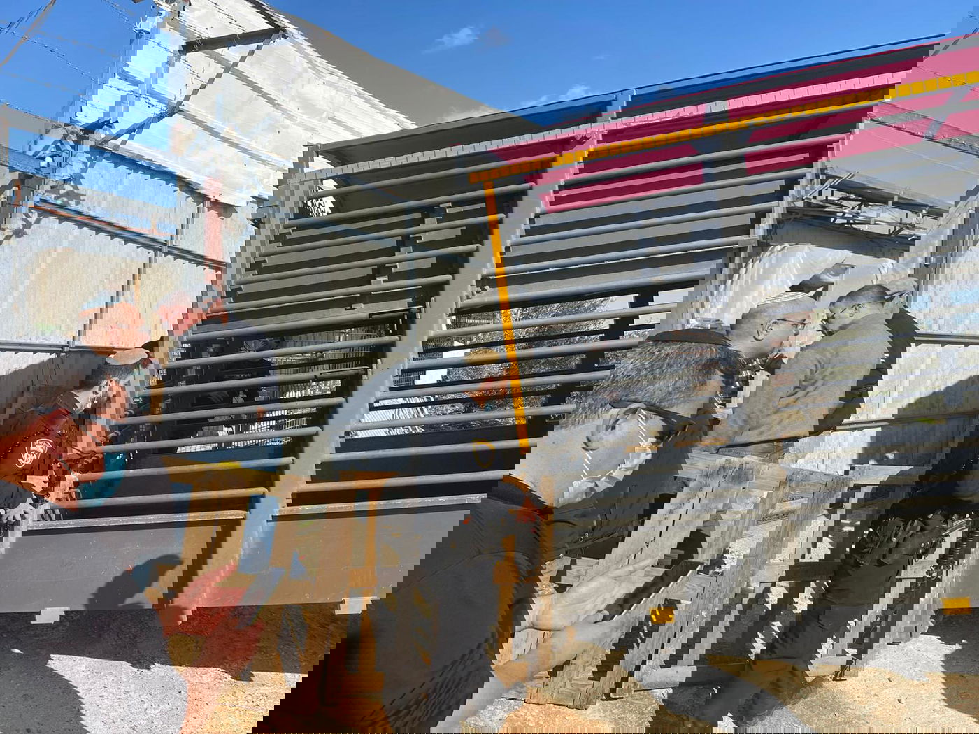 במזרח טייבה: נתפס עדר צאן שמקורו אינו ידוע