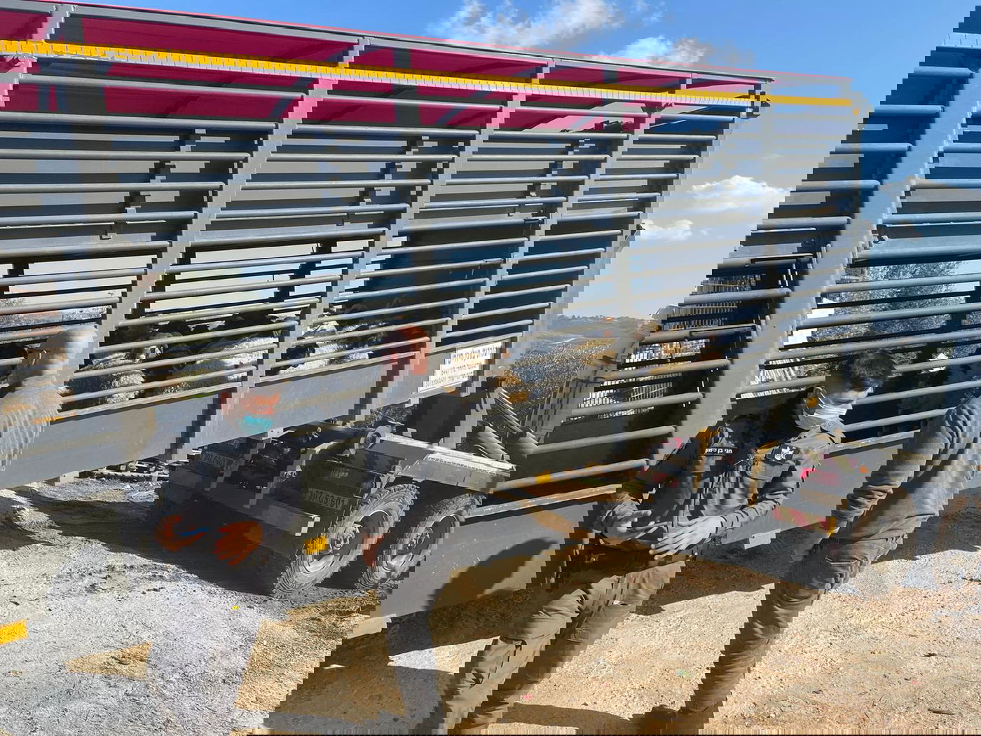 במזרח טייבה: נתפס עדר צאן שמקורו אינו ידוע