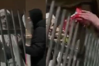 הפגישה עם חברי לב טהור