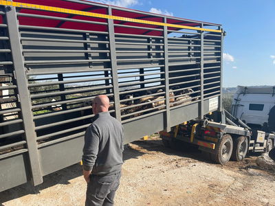 התפיסה המשטרתית