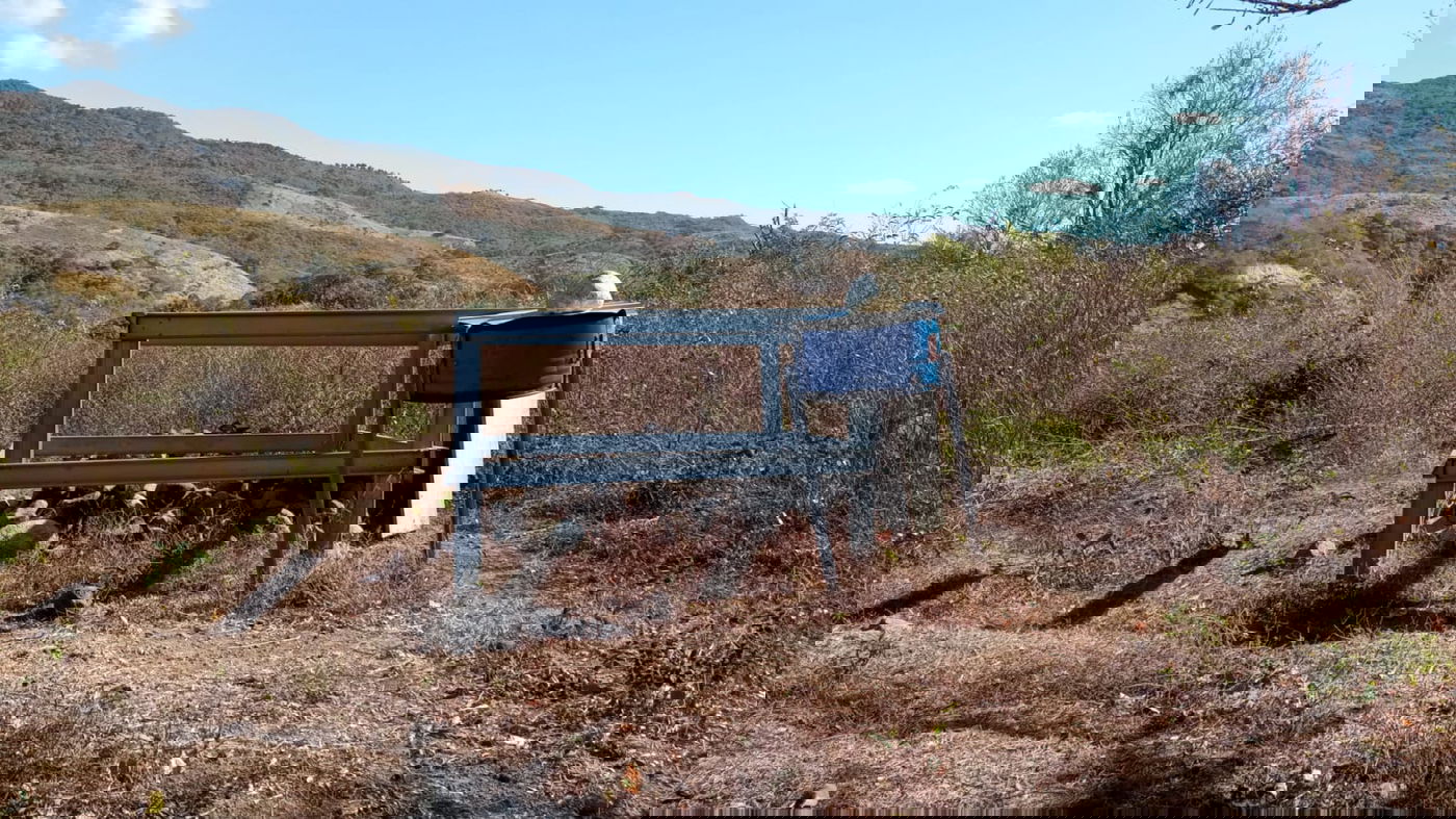 הקבר של הלברנץ, מנהיג הכת