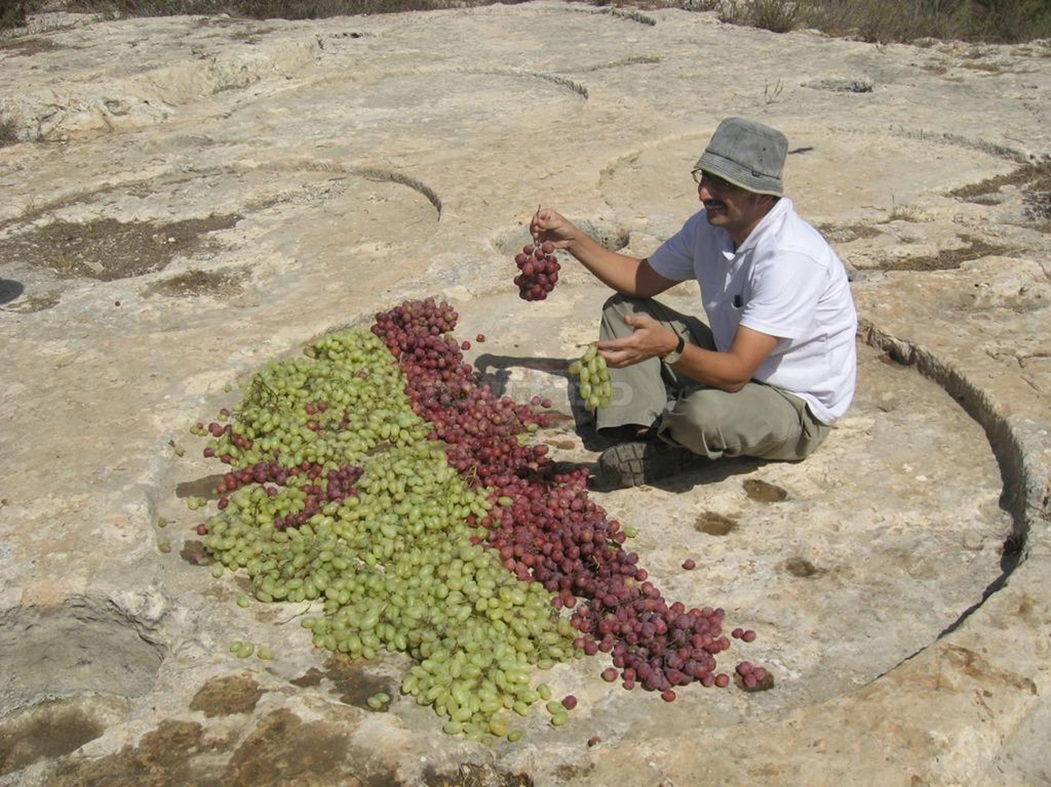 פרופ' זהר עמר בשחזור יין אליסטון באתר החובלתה בנוה צוף כמובא במסכת מנחות