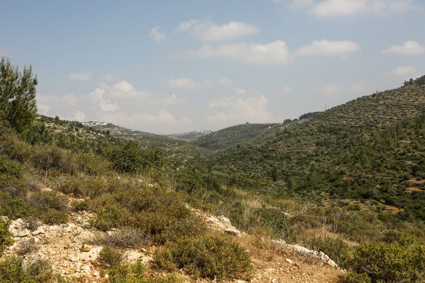 סיפורו של כביש; האם 465 מסוכן ביטחונית?