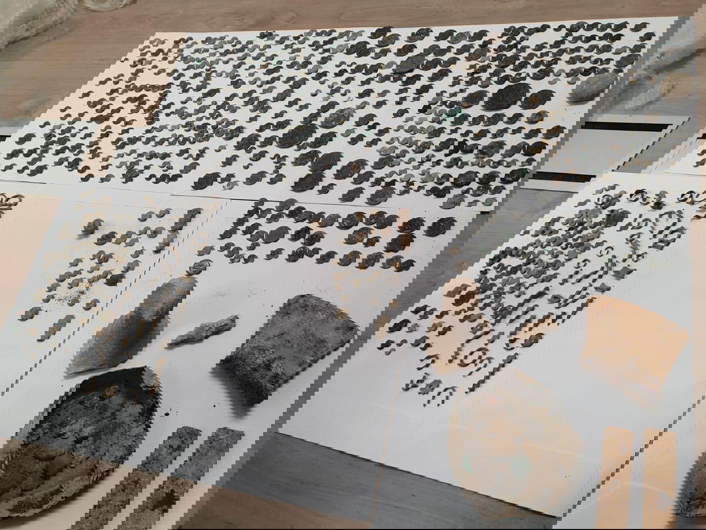 חלק מהממצאים שנתפסו