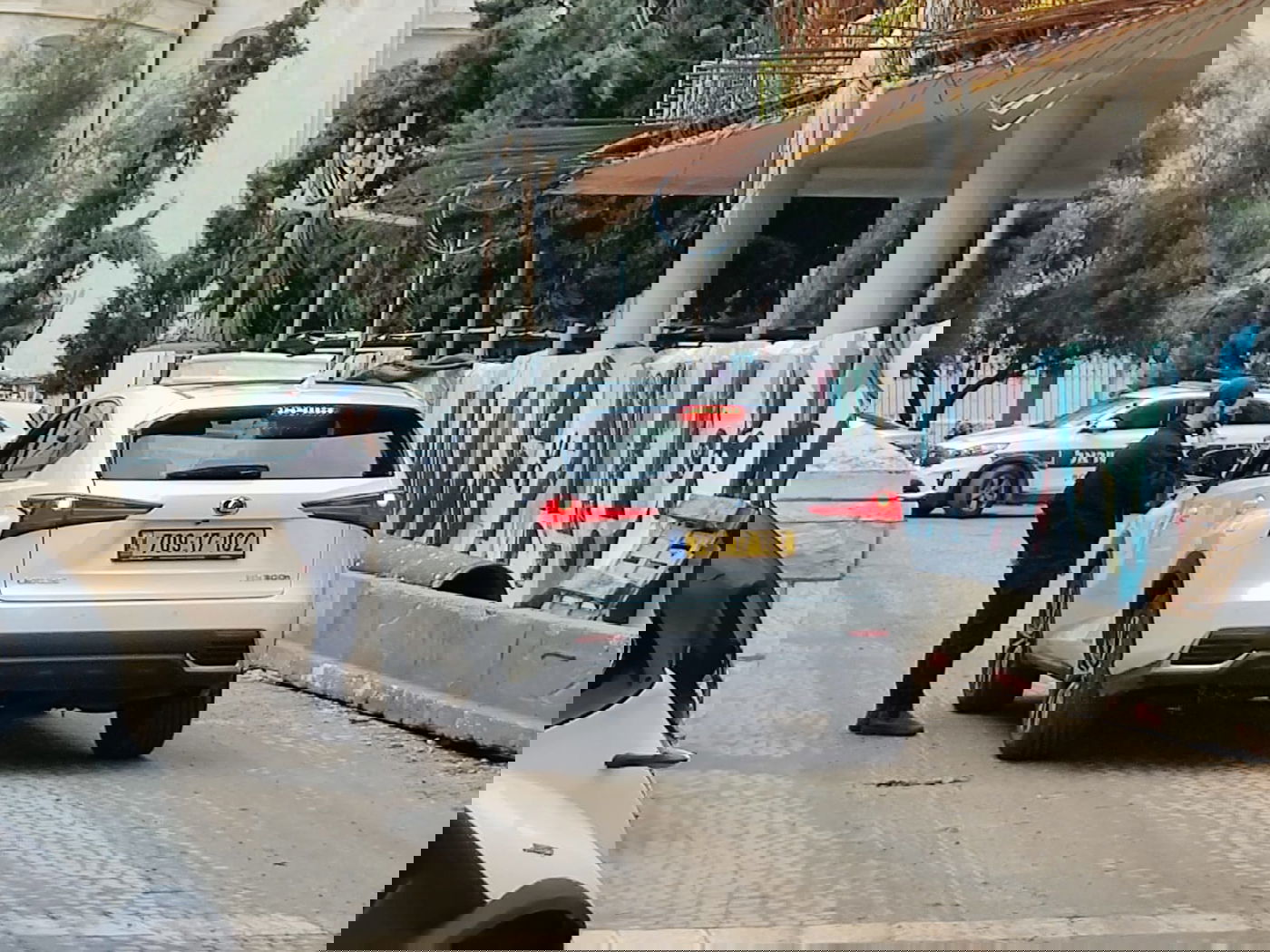 זופניק בכיכר • כל התמונות והנייעס של השבוע