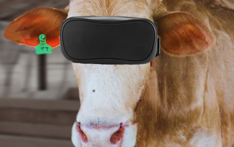 אילוסטרציה