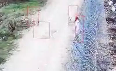 כלבים תקפו צעירה בחברון: "לא נעבור לסדר היום"